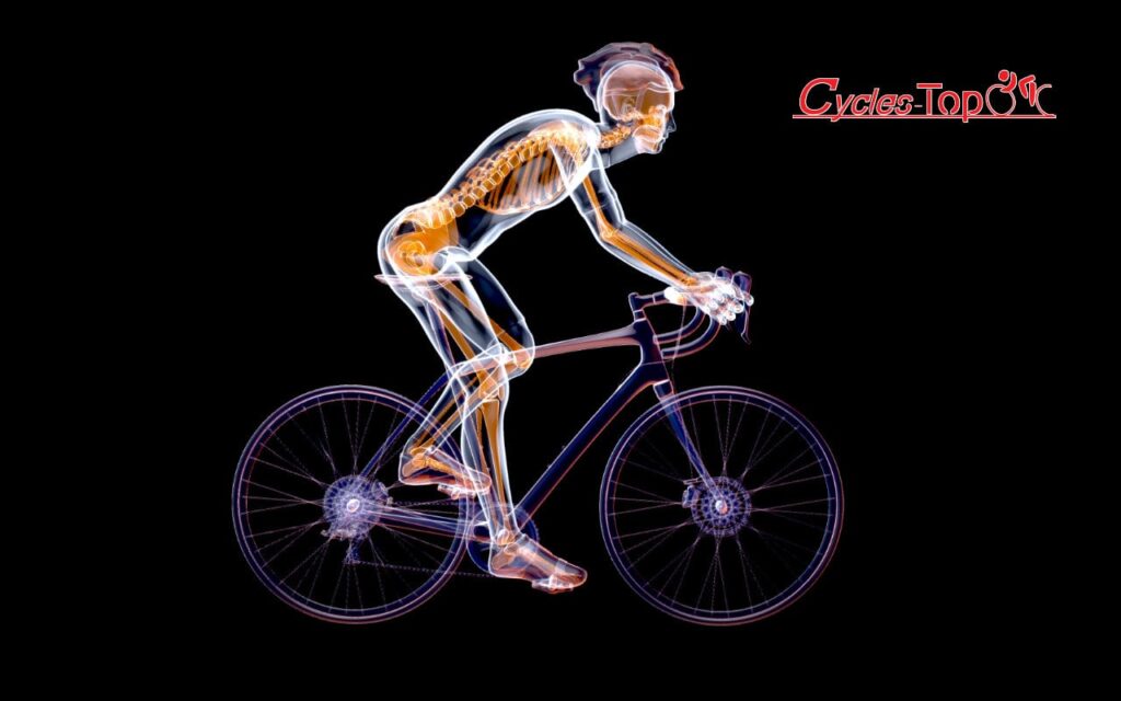 Squelette humain sur un vélo pour indiquer l'importance de la taille pour la posture